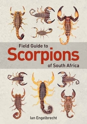 Field Guide to Scorpions of SA