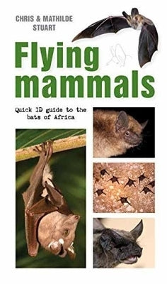 Flying Mammals Quick Id Guide to the Bats of Africa