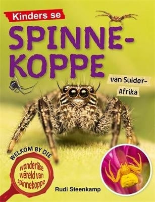 Kinders Se Spinnekoppe Van Suider Afrika