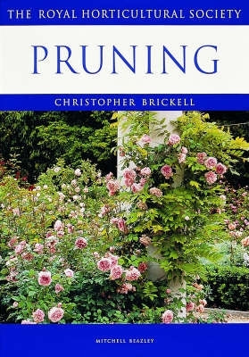 Pruning