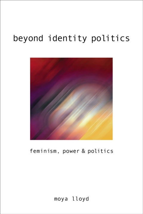 Beyond Identity Politics Feminism Power and Politics