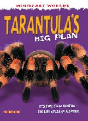 Spiders Big Plan ( Tarantula )