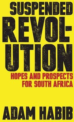 SA Suspended Revolution Hopes and Prospects