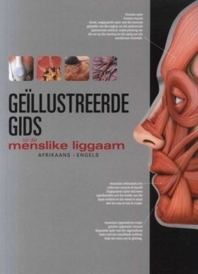 Geillustreerde Gids Tot Die Menslike Liggaam