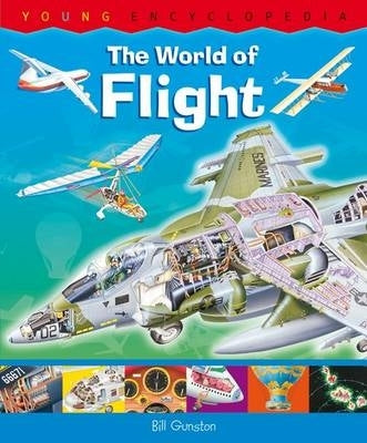 Young Encyclopedias World of Flight