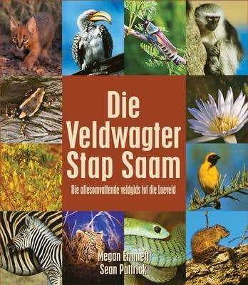 Veldwagter Stap Saam