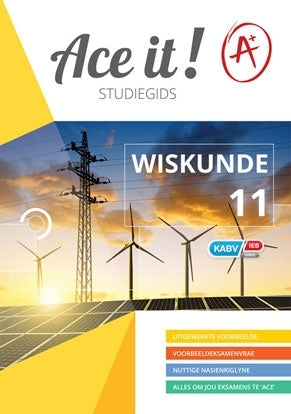 Ace It Wiskunde Gr 11