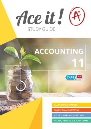Ace It Accounting Gr 11