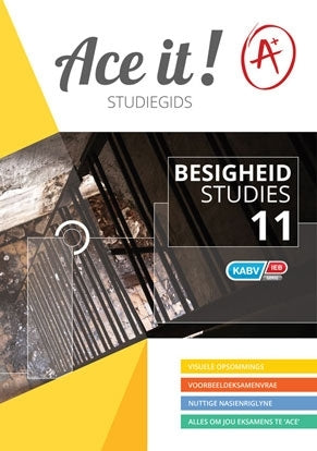 Ace It Besigheidstudies Gr 11