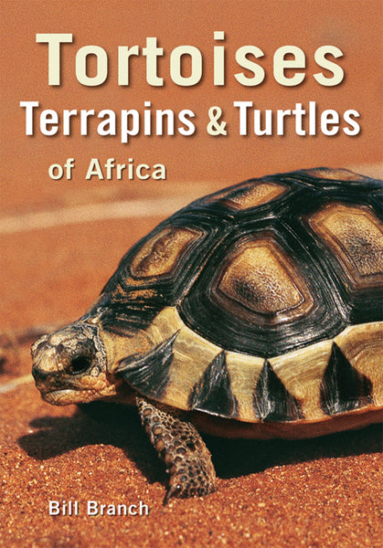Tortoises, Terrapins and Turtles of Africa