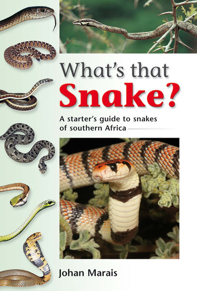 Whats That Snake?