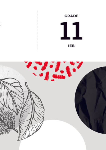 Answer Series Gr 11 Life Sciences 3 in 1 (Ieb) (Study Guide)