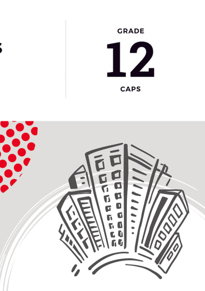 Answer Series Gr 12 Business Studies 3 in 1 Caps (Study Guide)