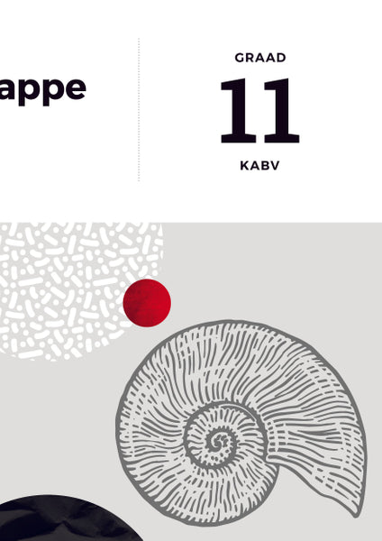 Answer Series Gr 11 Lewenswetenskappe 3 in 1 (Kabv) (Studiegids)