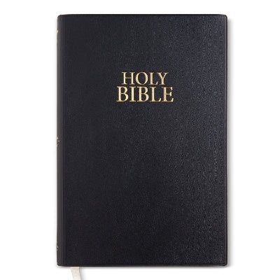 Niv Core Church Bible Vinyl Black
