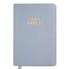 Niv Bible Compact Vinyl Steel Blue