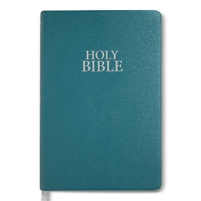 Niv Bible Teal Vinyl