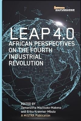 Leap 4.0 African Perspectives on the Fourth Industrial Revolution