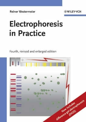 Electrophoresis in Practice a Guide to Methods and Applications of Dna and Protein Separations (H/C