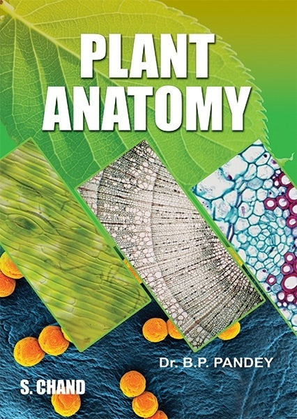 Plant Anatomy