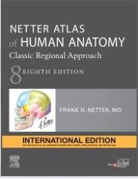 NETTERS ATLAS OF HUMAN ANATOMY CLASSIC REGIONAL APPROACH (I/E)