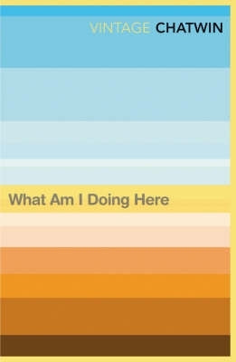 What Am I Doing Here (P/B)