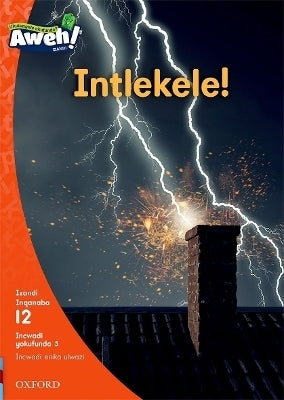 Intlekele Gr 3 (Reader 5)(Level 12)