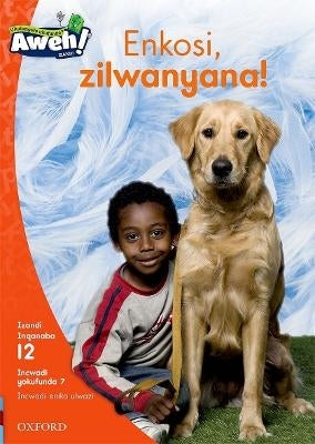 Enkosi Zilwanyana Gr 3 (Reader 7)(Level 12)