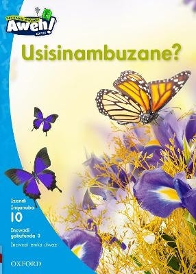 Usisinambuzane Reader 3 Gr 3 (Level 10)