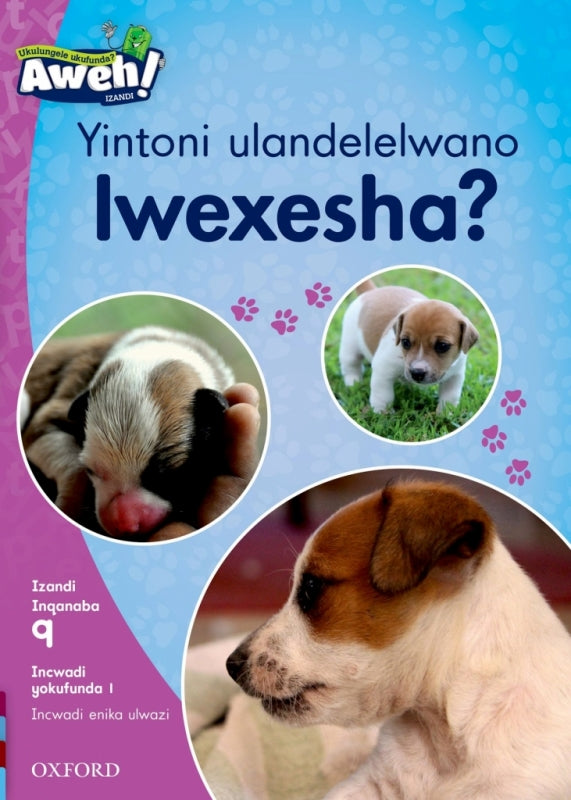 Yintoni Ulandelelwano Lwexesha