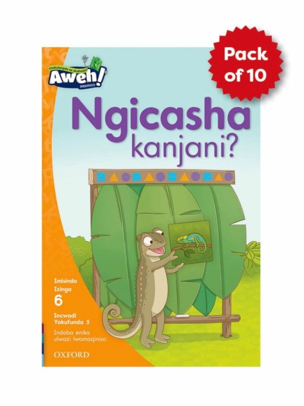 Aweh! Ibanga 2 Izinga 6 Ipheki Yezincwadi Zokufunda Ziyi-10