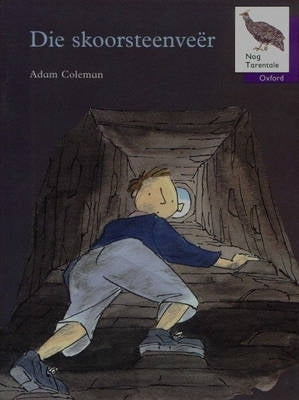 Nog Tarentale Die Skoorsteenveer Gr 3 (Leesboek)