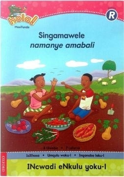 Singamawele Namanye Amabali Gr R (Big Book 1)
