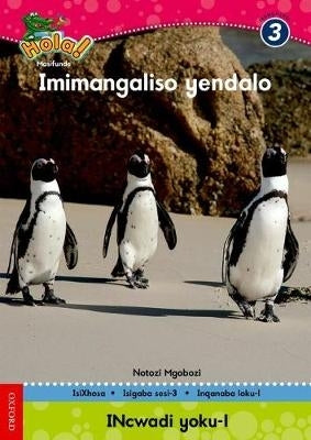 Imimangaliso Yendalo Gr 3 (Reader 1)