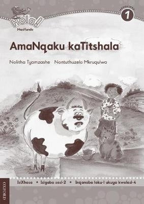 Hola Masifunde Gr 1 (Teachers Notes for Pack 2)