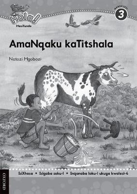 Hola Masifunde Gr 3 (Teacher Notes for Pack 1)