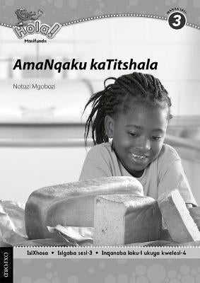 Hola Masifunde Gr 3 (Teacher Notes for Pack 3)
