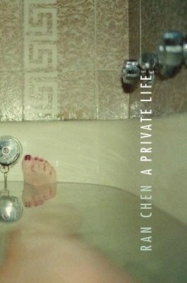 Private Life (Hc)