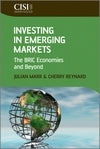 Investing in Emerging Markets the Bric Economies and Beyond (H/C)