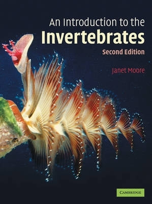 Intro to the Invertebrates