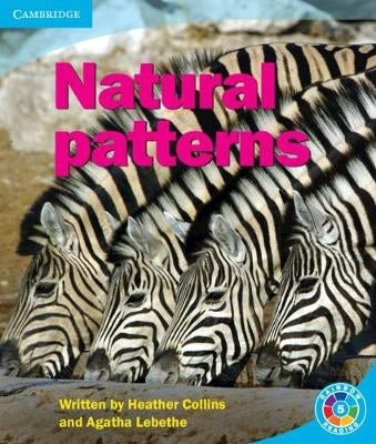 Rainbow Reading Pattern Patterns in Nature (Box B) (Level 5)