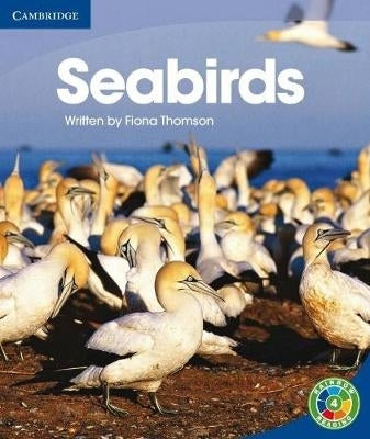 Rainbow Reading Level Seabirds (Level 4) (Box C)