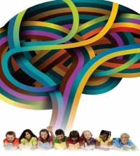 Perceptual Motor Learning Theory and Practice 2 (Ebook PDF Smart Swot )