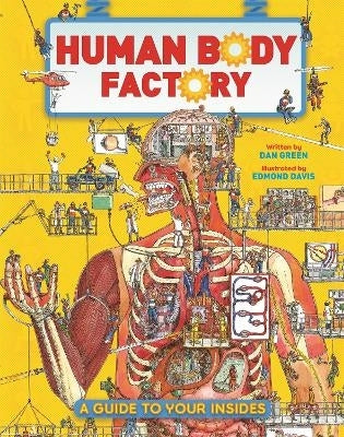Human Body Factory a Guide to Your Insides (Hc)