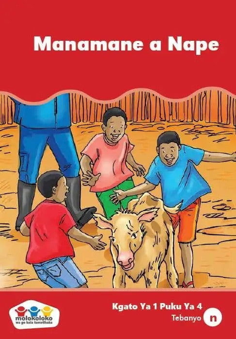 Molokoloko Sepedi Phonic Reading Series Level 1 Book 4