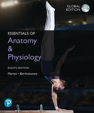 Essentials of Anatomy and Physiology