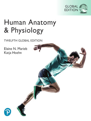 Human Anatomy and Physiology Global Edition