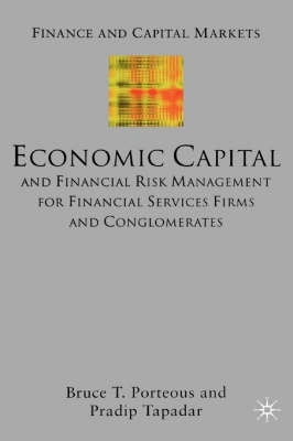 Economic Capital and Financial Risk Management for Financial Services Firms and Conglomerates (H/C)