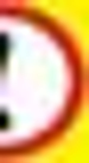 Viva Natural Science and Technology Gr 4 (Learners Book) Caps