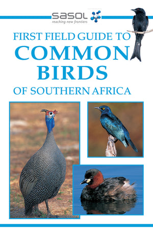 First Field Guide to Common Birds of Southern Africa